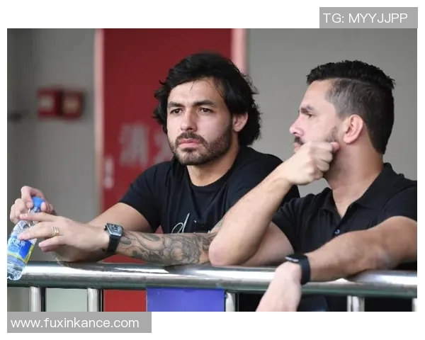 球迷炸锅欧洲杯赛场现新举动引发热议各界观点碰撞不断