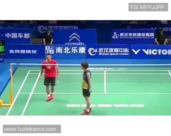 羽毛球赛事裁判判罚标准与公平性探讨及其影响因素分析