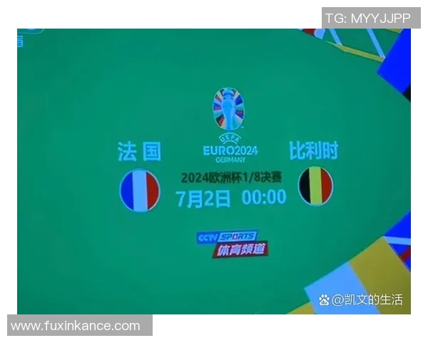 欧洲杯赛事安全管理及突发事件应对