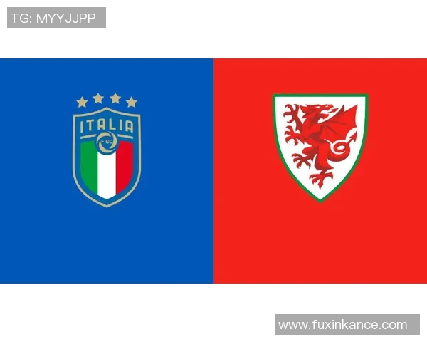 欧洲杯球队伤病管理及复出计划研究