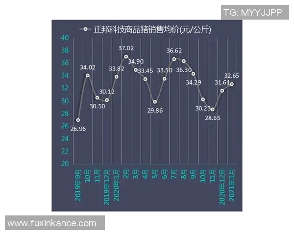 技术统计:维尼修斯近5场表现一览 技术统计:维尼修斯近5场表现一览