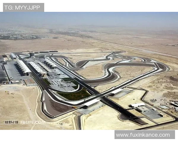 F1赛季各赛道适应策略解析与车队整体表现深度评析